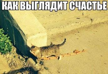 d_files's tweet image. 