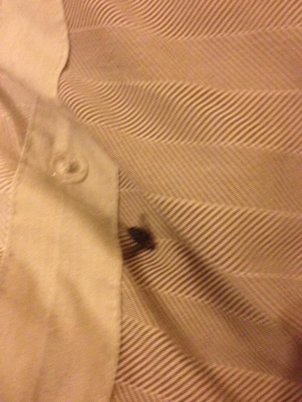 Edward_Chaplin_'s tweet image. Little cunt got smashed