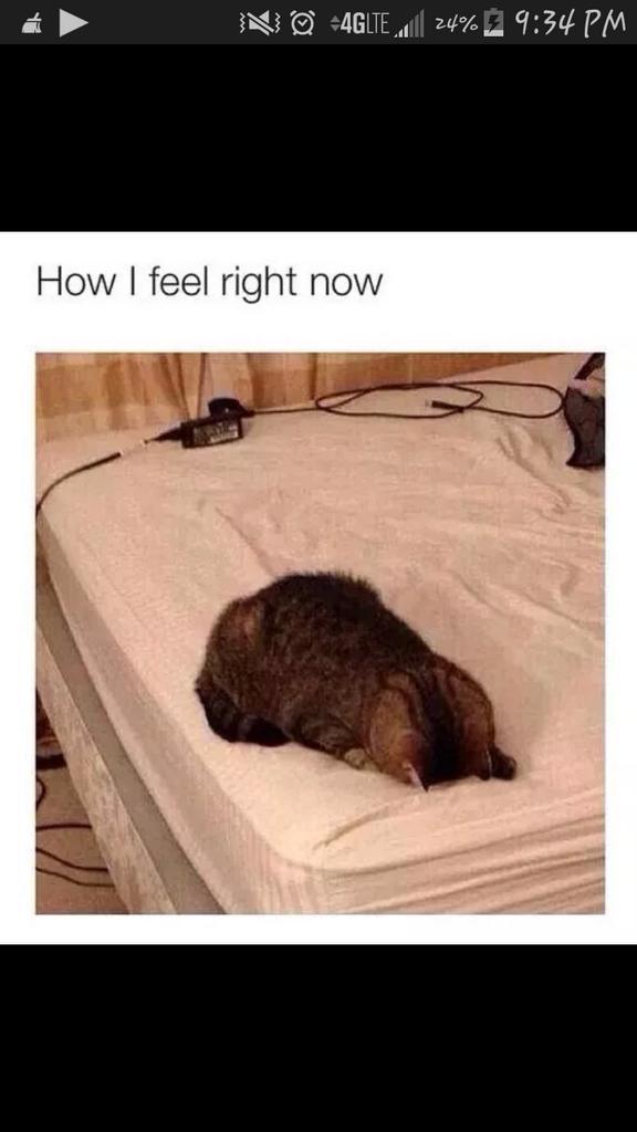 itzel_bih's tweet photo. Pretty much. http://t.co/YydngrD6kn