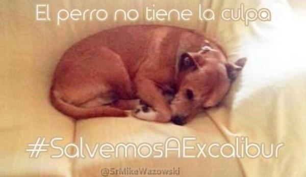 Malenacosta7's tweet photo. #SalvemosaExcalibur @PartidoPACMA http://t.co/usb1KEDlS4