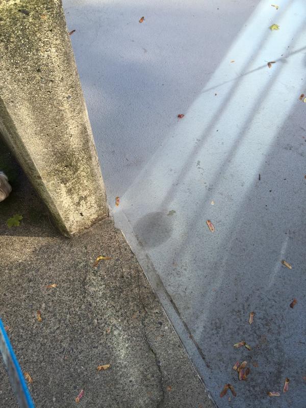 mochanchann's tweet photo. There's nothing wrong with peeing outside on the same spot everytime. I just want people to know this spot is mine http://t.co/L9UPu98v6B