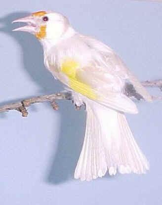 billy king (@billyking1999) on Twitter photo 