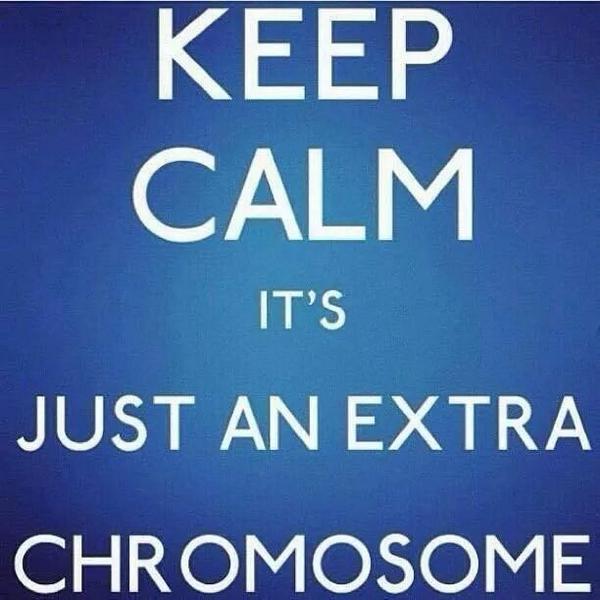 ArcanOrg's tweet image. 