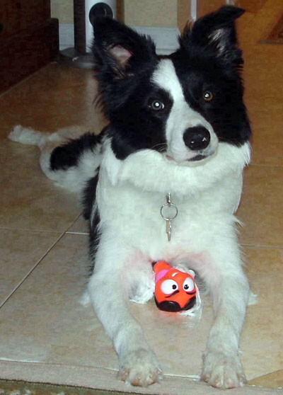 Mario Stefanus (@mariostefanus) on Twitter photo 