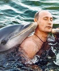 Happy Birthday Bæ @ Vladimir Putin 