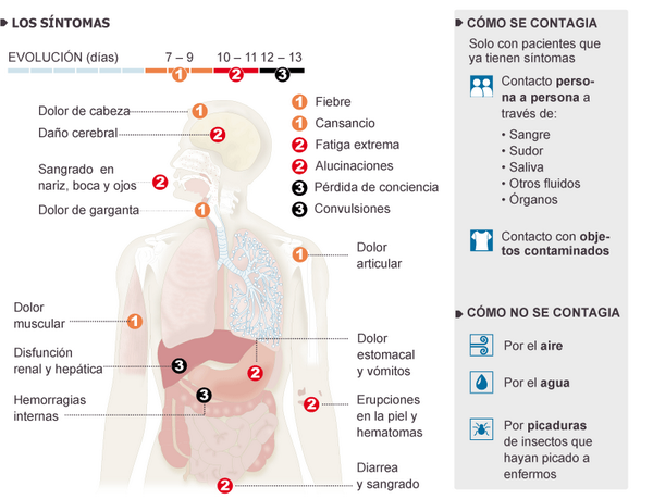 EL PAÍS tweet media