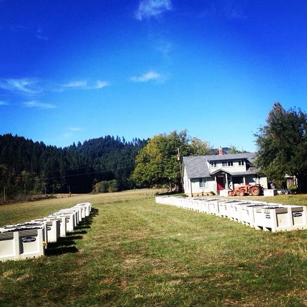Our final lineup for #harvest14. Amazing brix, amazing fruit, amazing team work, amazing year!