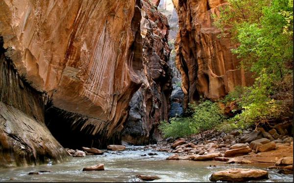 PlanetEarthPics's tweet photo. The Narrows, Zions National Park, Utah http://t.co/4984Ln213v