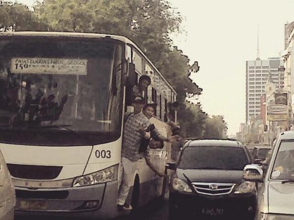 Chaptoen_Cus40's tweet photo. Patas 159 ({}) http://t.co/W2ENU9J2Yb