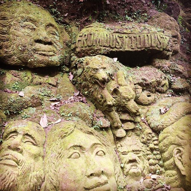 Embedded image permalink