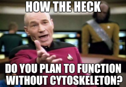 GOTSTRUCTURE's tweet photo. #CatFootMVO #CytoskeletonFTW http://t.co/oyAkANSkLg