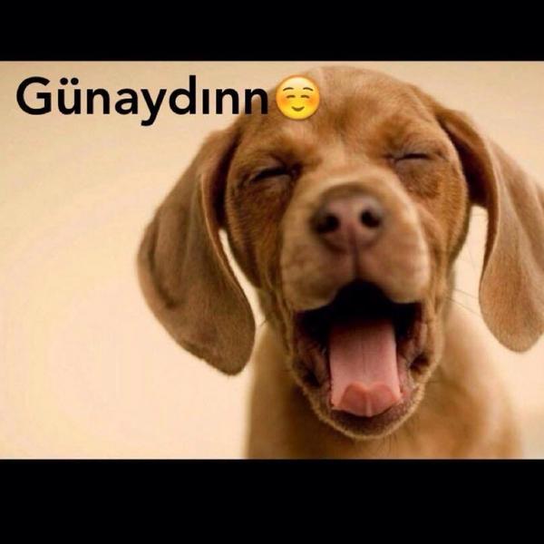 Gününüzaydın olsun huzurlu mutlu bir gün dilerim 😄😊😉☺️🐞💐💐💛❤️💚👋👍tatil bitti... swarmapp.com/c/6MFNmOhS5K1