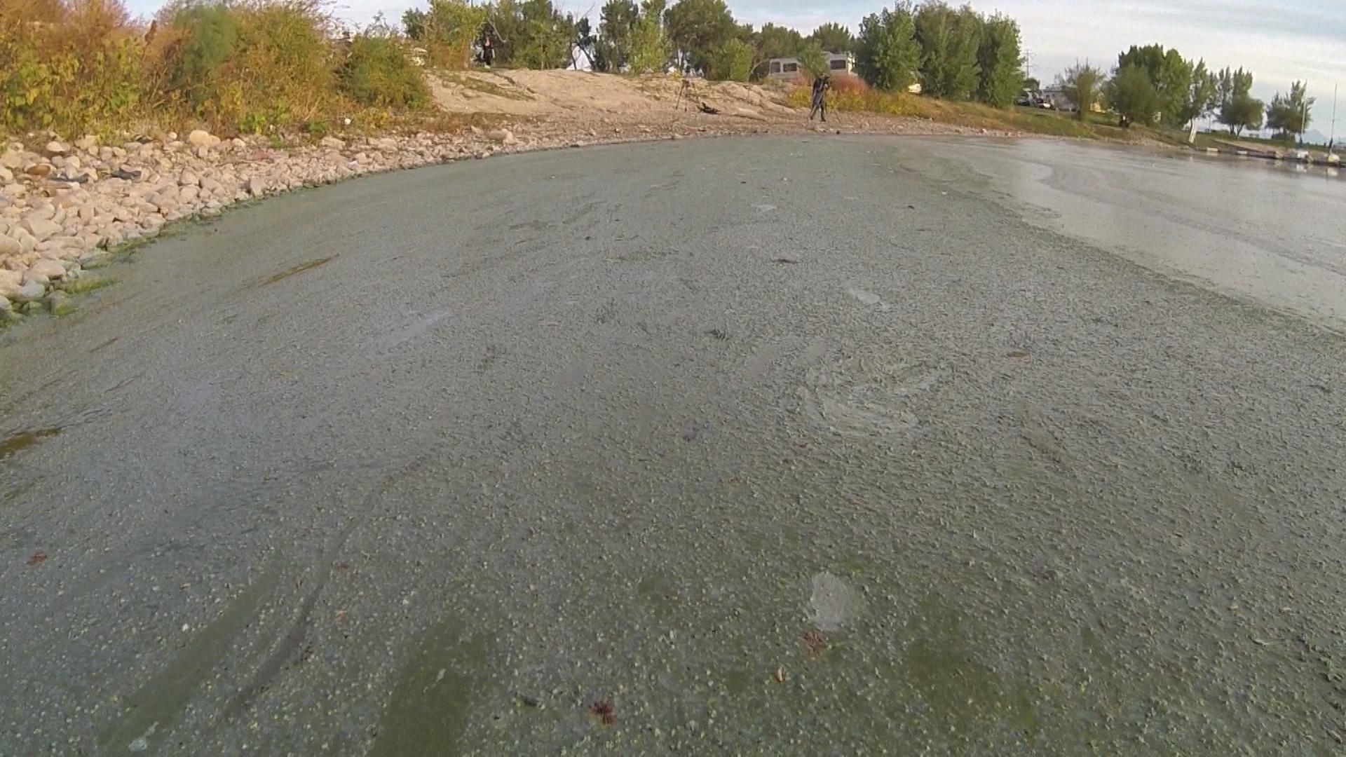 ছবি পার্মালিঙ্ক স্থাপিত