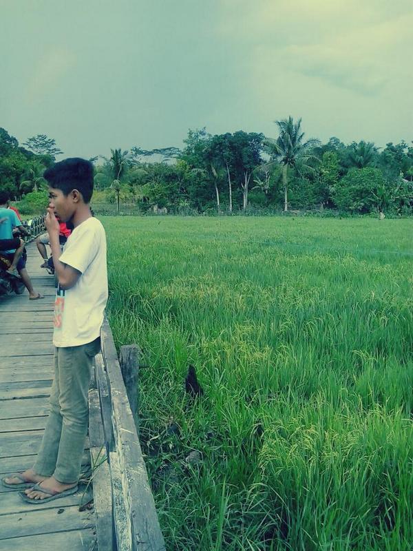k_annass's tweet photo. #closeenough #kampung #dreams #WISH #amazing #bongan #sendawar #latepost http://t.co/8fSMGXNcrM