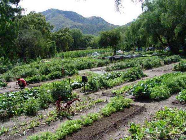 CamposyParcelas's tweet photo. [VIDEO] Curso Completo de Huerta Orgánica » http://t.co/lZdA0qHMRl | Vía » http://t.co/T8n2ppmrnt  | http://t.co/lxIIW2WL5W