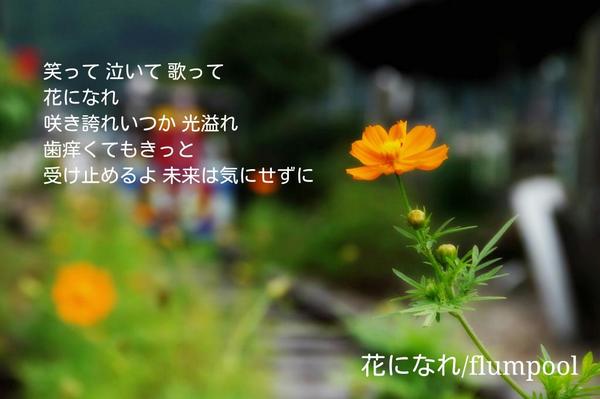 Flumpool 歌詞画 Flumpool Kashi4 Twitter