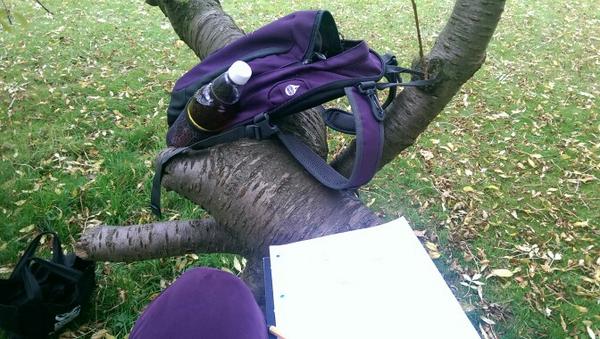 Your chair, in a tree in the park, writing down all the things they need to remember to tell you about at training.