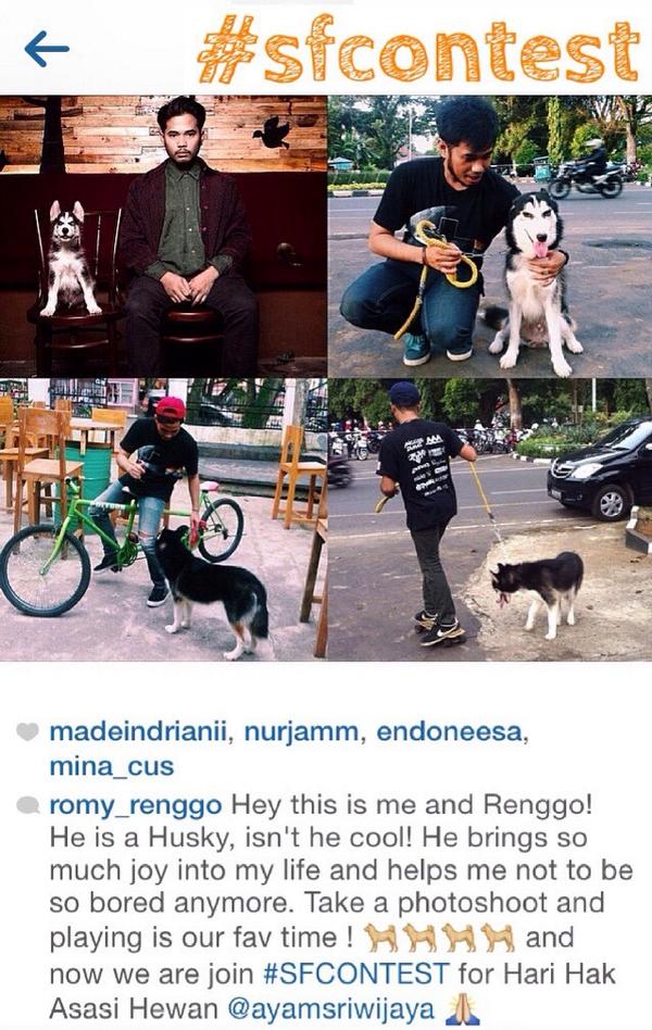 ayamsriwijaya's tweet image. thanks for ur participation bro! @romi_renggo #sfcontest