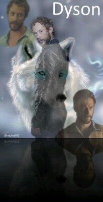 lightfae530's tweet photo. @KHRpack @KHRlovelies  Hope everyone has a great Wolf Wednesday. http://t.co/U06ZcJpK87