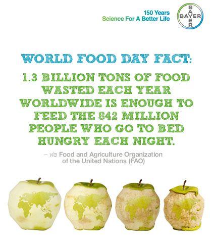 Bayer4Crops's tweet photo. #WorldFoodDay: 1.3 billion tons of food wasted each year worldwide is enough to feed the 842 million people. #wfd14 http://t.co/qfNlOhRVLv
