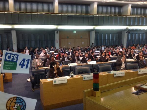 GerdaVerburg's tweet photo. And the RAI principles are endorsed by CFS unanimously! #CFS41 http://t.co/ENcw1tthoM