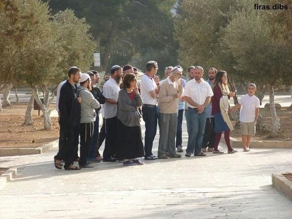 palastin48's tweet photo. عن هاذ الوجع شقفة إثيوبية ولا روسية بتسواش قشرة بصلة تفوت وانت يمنعوك http://t.co/8YAmCZ9muq