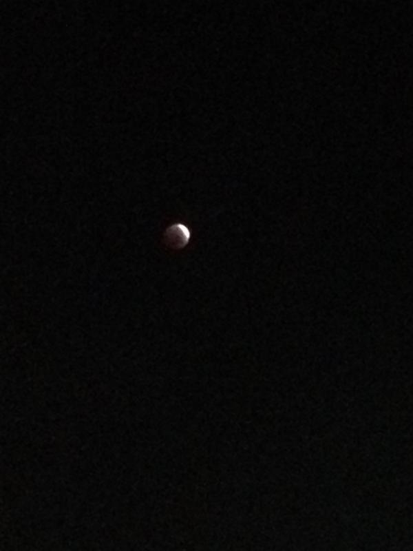 PokzBo's tweet image. Se ve hermosa, hermosisima la luna 😍 Mejor que en mi foto 😂 #EclipseLunar #Eclipse2014