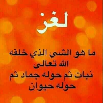 ابو صامد  (@ala001983) on Twitter photo 