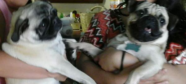 tuenfermerita's tweet photo. Fue algo pasajero. Su primer fracaso enel amor. #Niestabatanbonita #Lerompieronel♥ http://t.co/VSOUOHD2N5