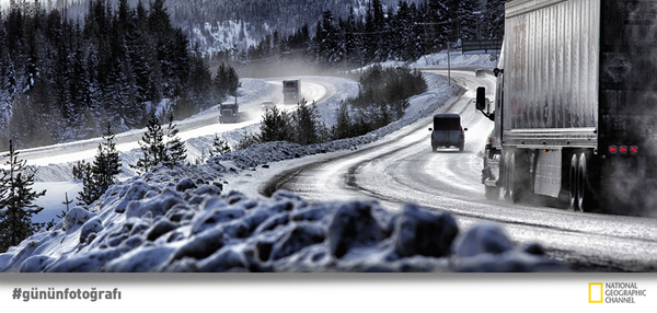 National Geographic tweet media