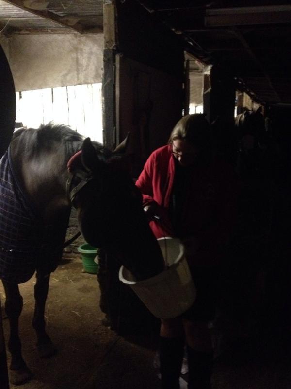 EquinityUK's tweet image. Pampered Patch enjoying a good, long drink post massage last night!