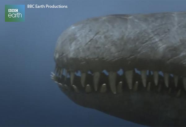 Meet a lethal 45 tonne ocean predator: bbc.in/1nYvq9q