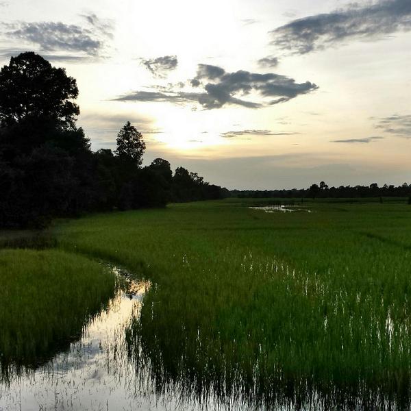 BrosChhlang's tweet photo. Hello,all people know me on Tweet,do you want to visit my temples at Angkor wat with tuktuk trip?contact:+85512534478 http://t.co/5F0uWIhegQ