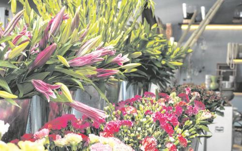 Flowered Earth expands to The Grove - Mall of Namibia <a href="/flowered_earth/">FloweredEarth</a> buff.ly/1rgwSOJ