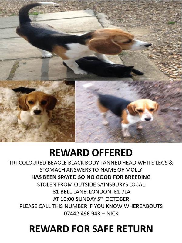 Stephen Mulhern tweet media