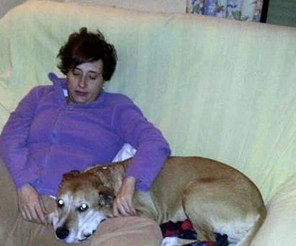 el_pais's tweet photo. El perro de la infectada de ébola del Carlos III será sacrificado http://t.co/Y9vDqmfFp3 Se mueve #SalvemosaExcalibur http://t.co/pLPPk5SCJ2