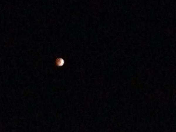 KNXmargaret's tweet image. #lunareclipse #earlyhours