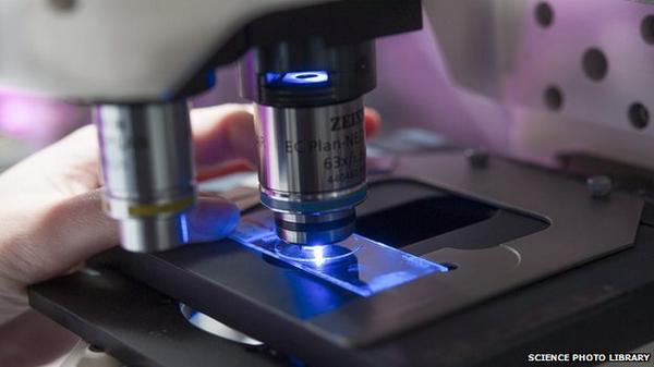 Rednekked_'s tweet image. Microscope work ... #EricBetzig #LightMicroscope #LightMicroscopes #NobelCommittee j.mp/1nZhbRH