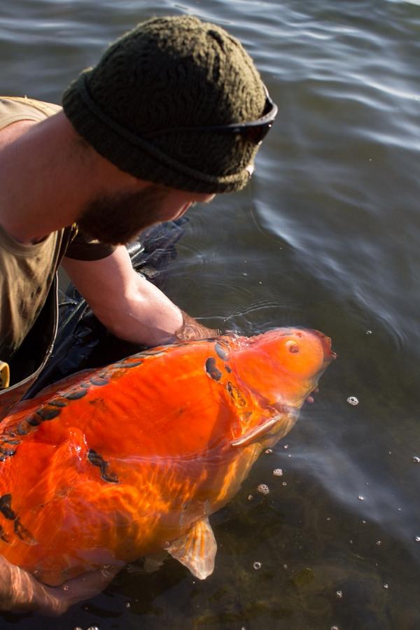 Had to share this one