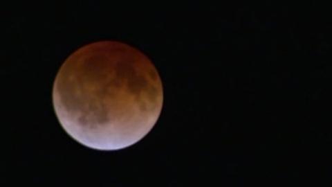 jasonlumberjack's tweet image. #eclipse2014 #eclipse #LunarEclipse  #BloodMoon2014 #BloodMoonEclipse #BloodMoon
