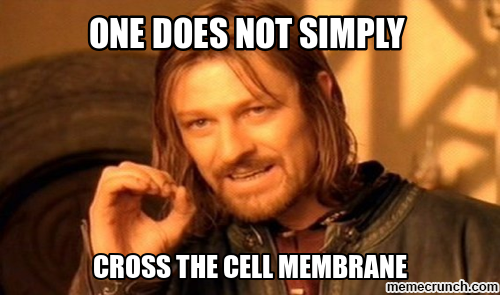 Cell_Membranez's tweet photo. So true #CatFootMVO @SVGEMEMBRANE @membrane2k14 http://t.co/qPBDeRmaNF