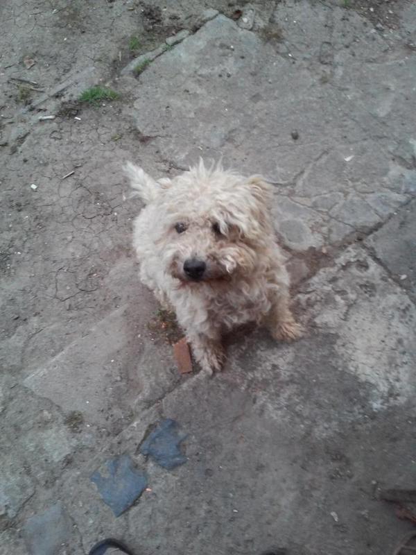 SZNOrth79's tweet photo. PicÚrrr! ;-) http://t.co/K6GbJkienG