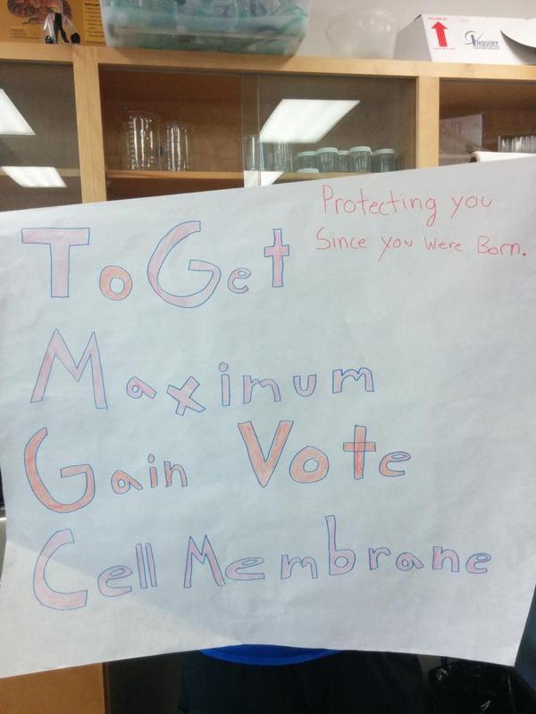 Cell_Membranez's tweet photo. Making campaign posters #CatFootMVO http://t.co/i5N3w87xDM