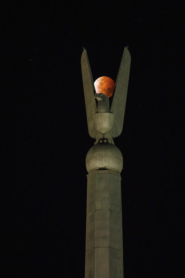 CumminsPhoto's tweet photo. Today is brought to you by the letter M...
#moon #eagle #LunarEclipse #Canberra #CBR http://t.co/PhU7wMeXek