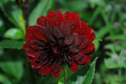 GDEVARAM's tweet image. 