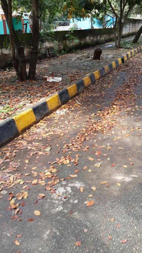 ShivamDevasher's tweet photo. @timesofindia 
Children Cleaning the streets of Bangalorother pics will be uploaded at
https://t.co/ZKKcW61ekD http://t.co/hCwyc1Xumr