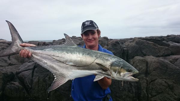 RobertGordonKyl's tweet photo. 93cm leery fitted with an acoustic tracking tag and ready for release.on the assassin EVO and a livebait.#research http://t.co/UMVG865CXP