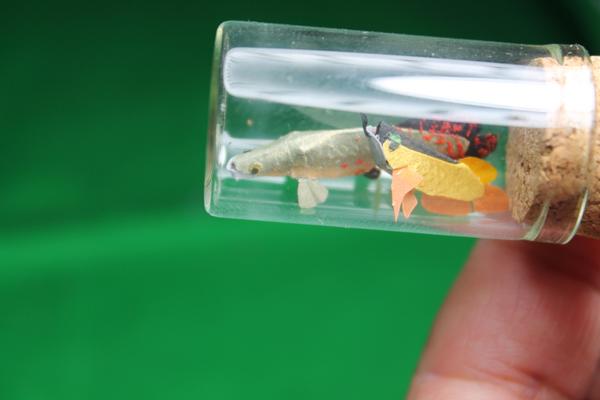 しざーはんず 次は未定 でも作る そこに生き物がいる限り Pa Twitter 今日はアジアアロワナを作って瓶に詰めてみたんだよ せっかくなので ピラルクと混泳させてみました あとタイガーショベルかダトニオ辺りも入れれば 大型魚 水槽出来上がり 笑 Http T