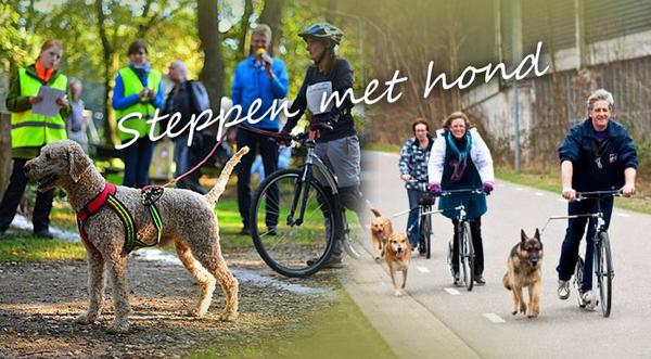 Vele hondenstepmerken en gratis  steppen met hond workshop autoped.nl/stepdag  #steppenmethond #fitblijven #hond