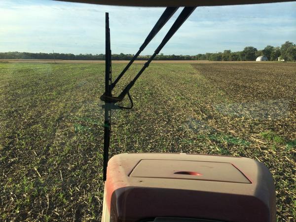 jaxlef14's tweet photo. No matter the brand of combine used, it seems like everyone has a lot of volunteer corn this Fall #WorkingGround http://t.co/mWEVd5jJo2
